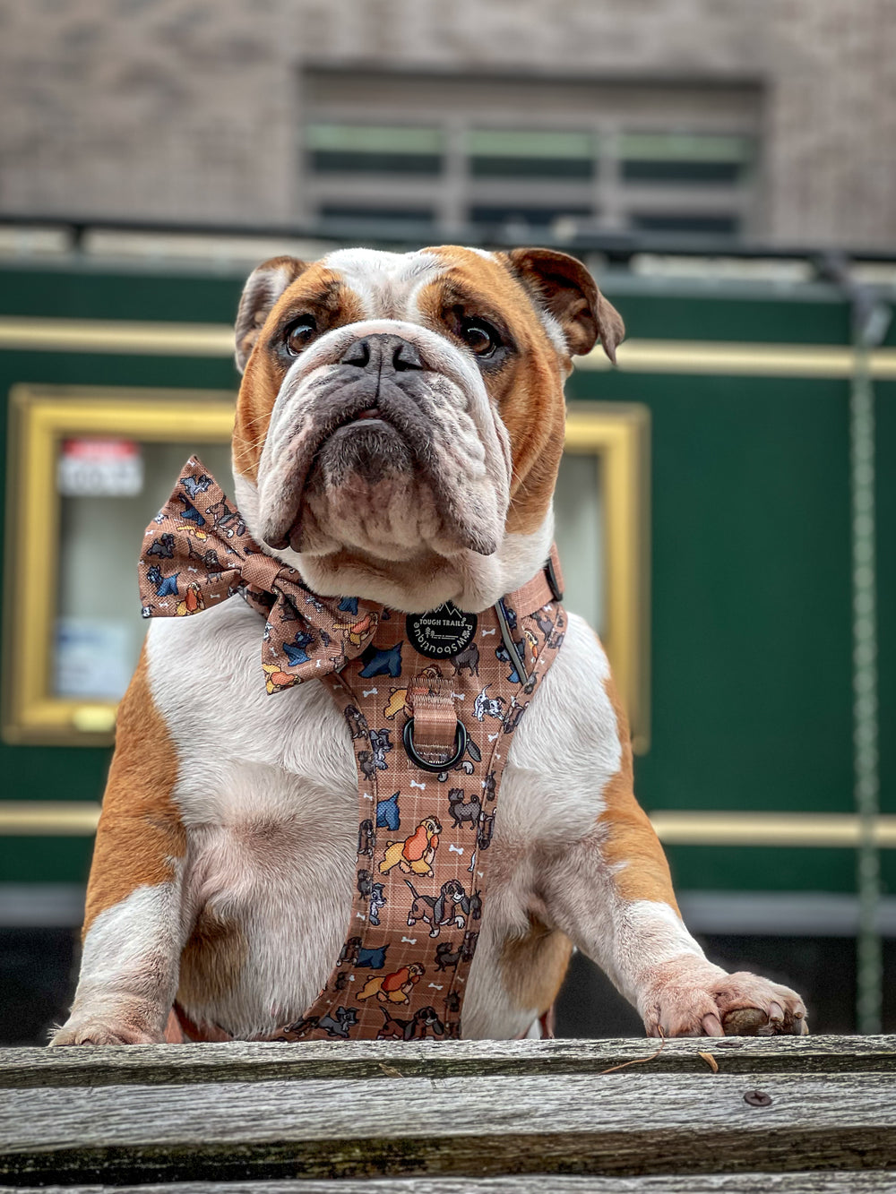 Disney© Bow Tie - Disney Dogs