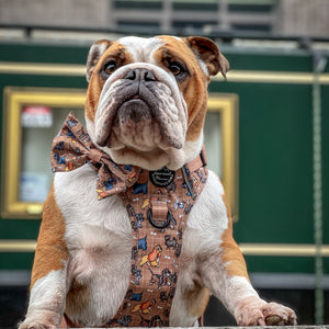 Disney© Bow Tie - Disney Dogs