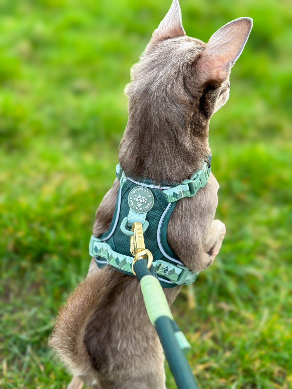 4ft Rope Lead - Walkies Ready® Forest Green