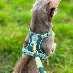 4ft Rope Lead - Walkies Ready® Forest Green