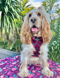 Dog Blanket - Mable's Meadow