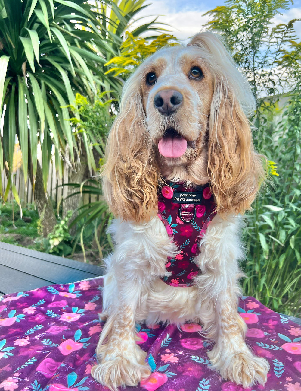 Dog Blanket - Mable's Meadow