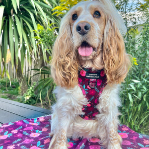 Dog Blanket - Mable's Meadow