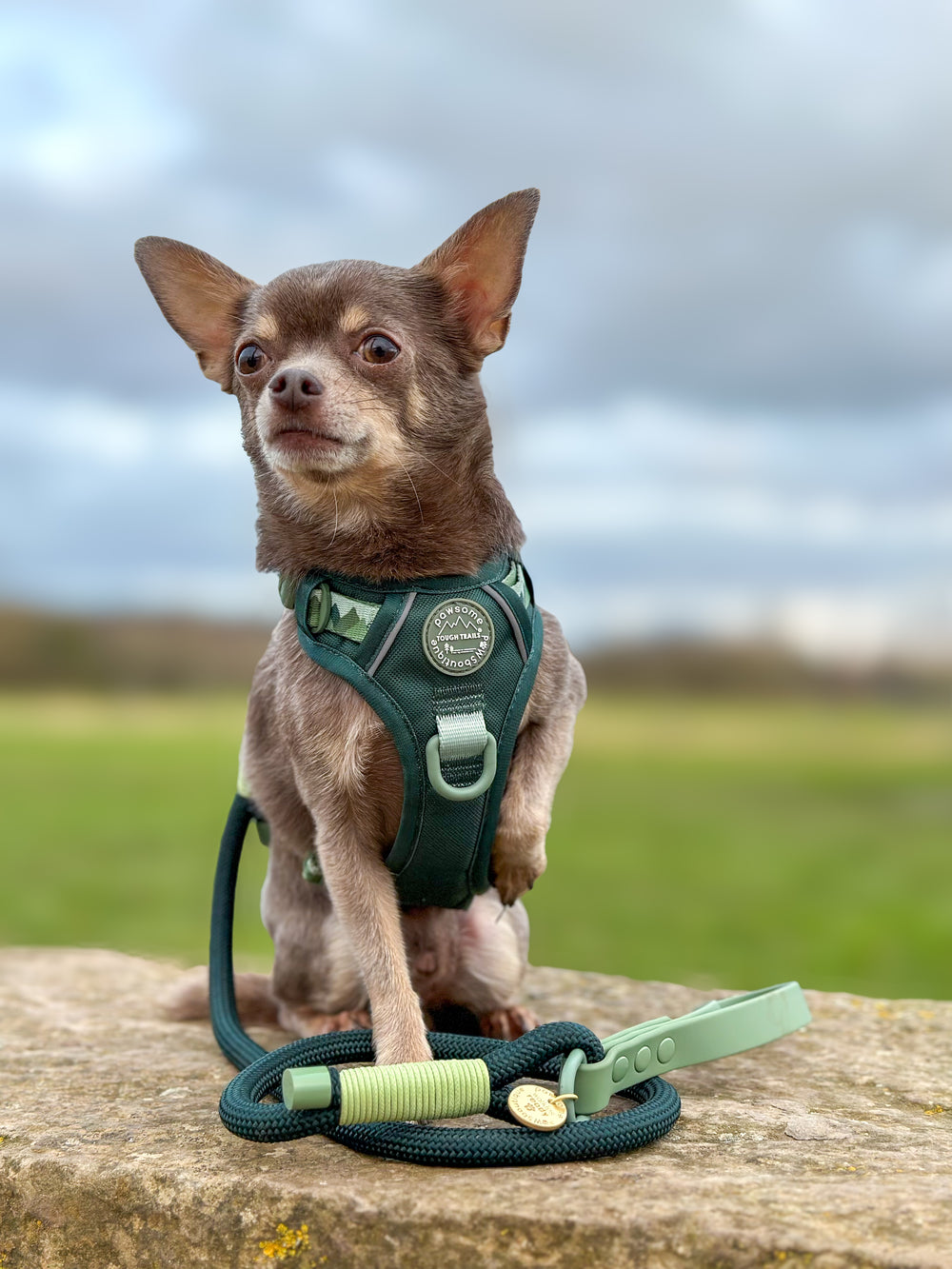 4ft Rope Lead - Walkies Ready® Forest Green