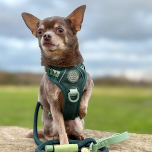 4ft Rope Lead - Walkies Ready® Forest Green