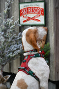 Tough Trails™ Harness - Walkies Ready® Snowy Mountains
