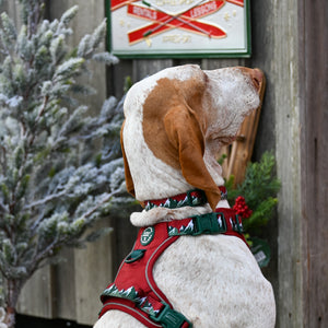 Tough Trails™ Harness - Walkies Ready® Snowy Mountains