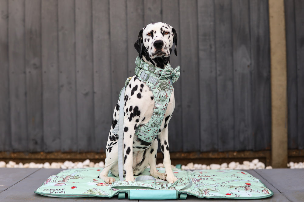 Disney© Travel Mat - 100 Aker Wood