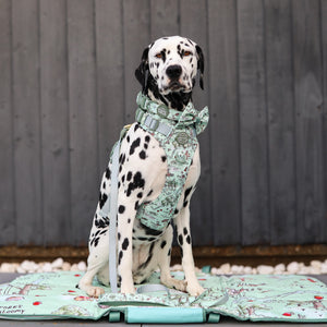 Disney© Travel Mat - 100 Aker Wood