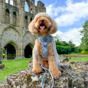 Disney© Lead - Bambi + Friends Blue