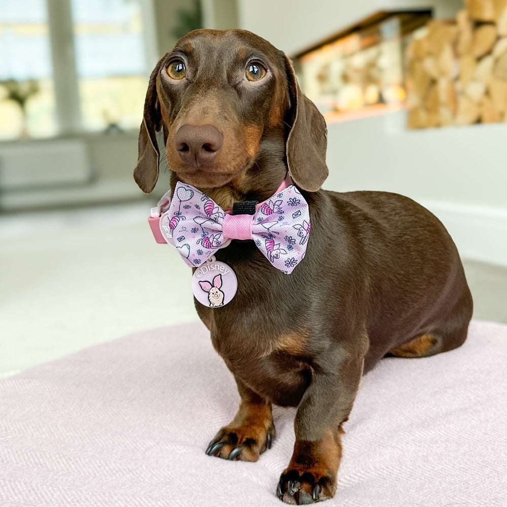 Disney© Bow Tie - Piglet