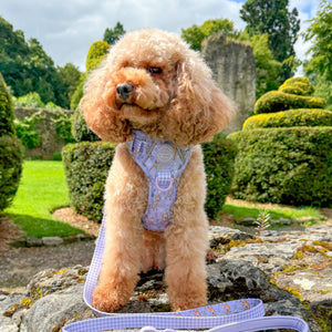 Disney© Lead - Bambi + Friends Lilac