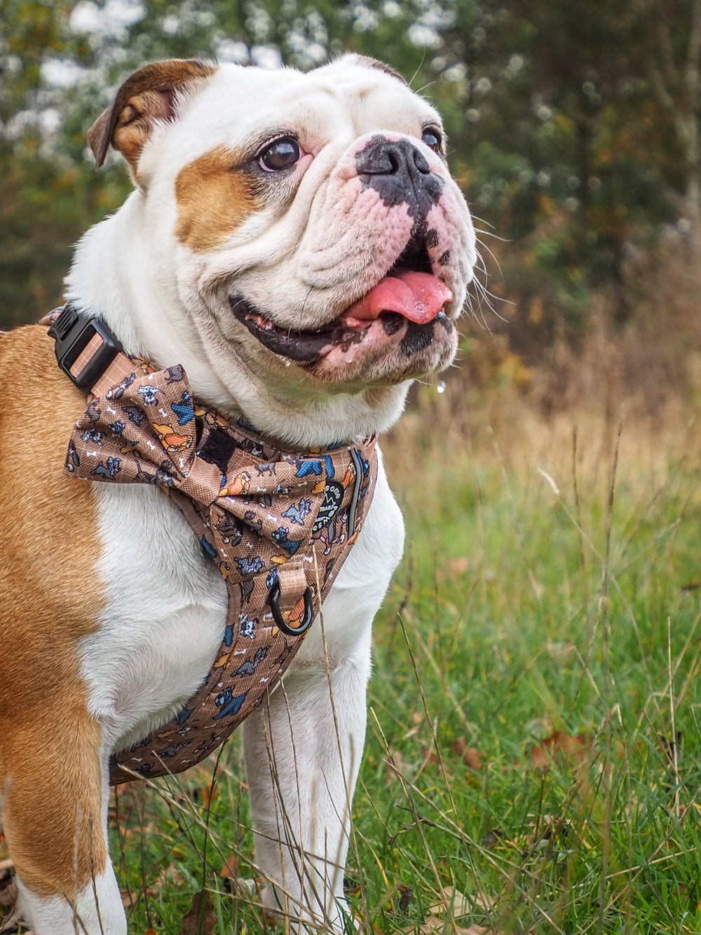 Disney© Bow Tie - Disney Dogs