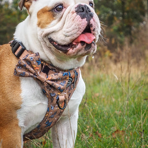 Disney© Bow Tie - Disney Dogs