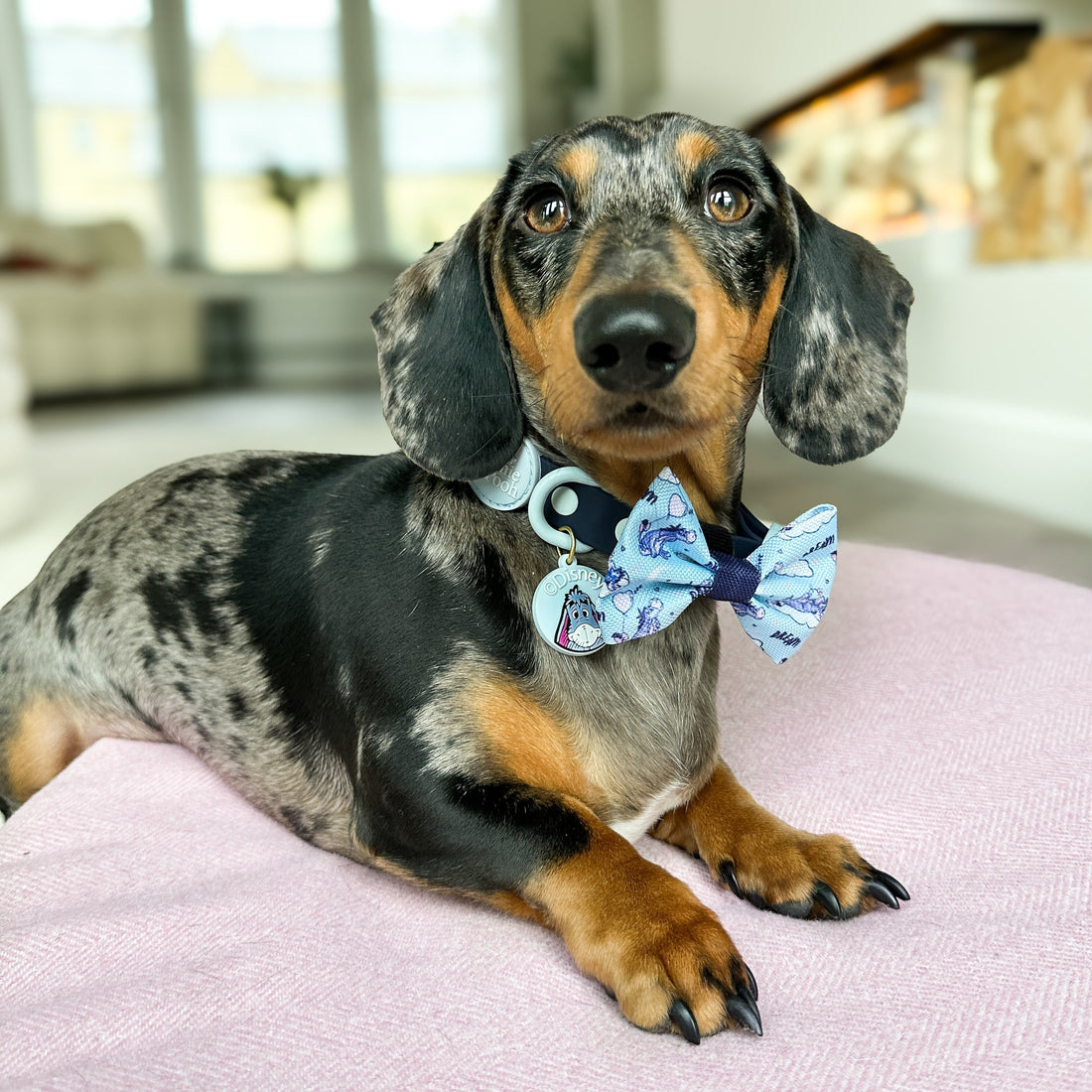 Disney© Bow Tie - Eeyore