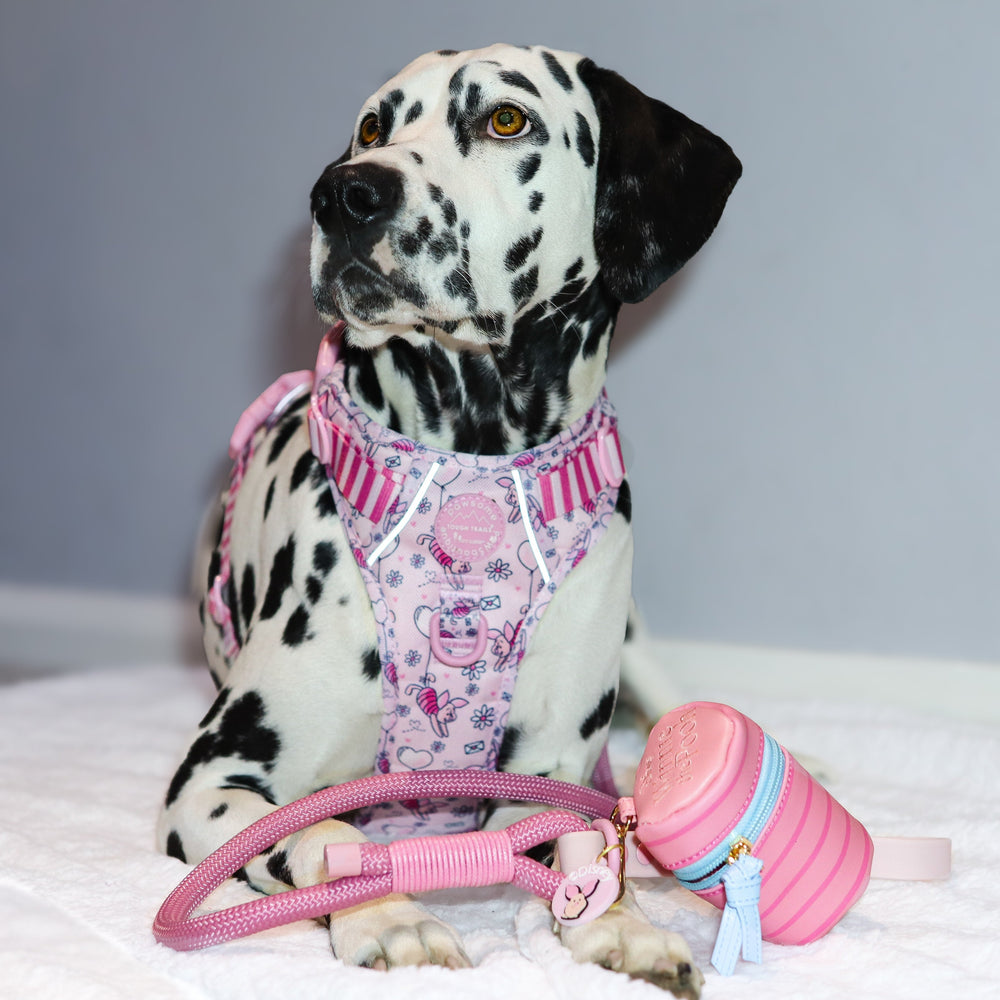 Disney© Treat Pouch - Piglet