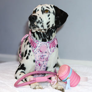 Disney© Treat Pouch - Piglet