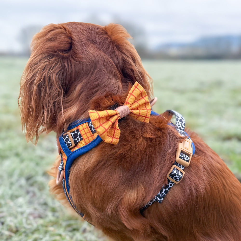 Disney© Bow Tie - Woody