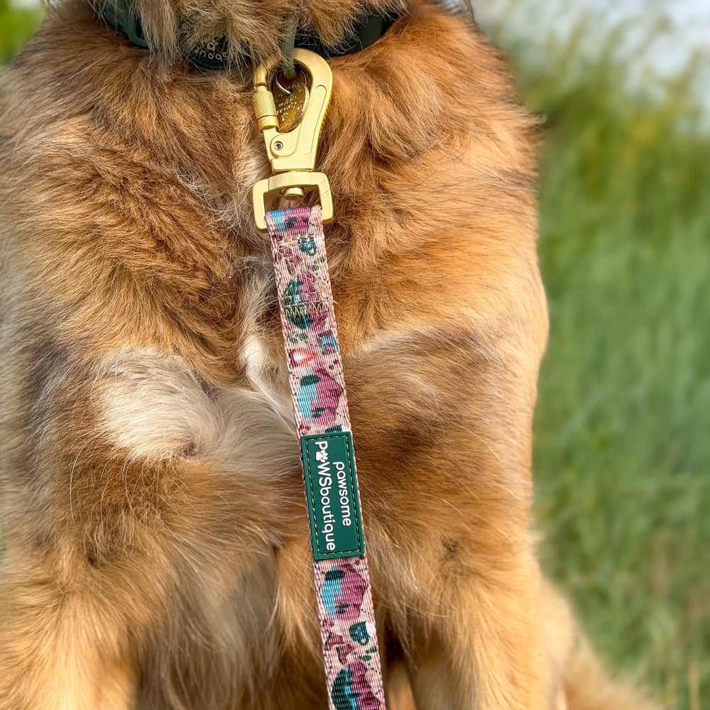 Lead - Adventure Awaits