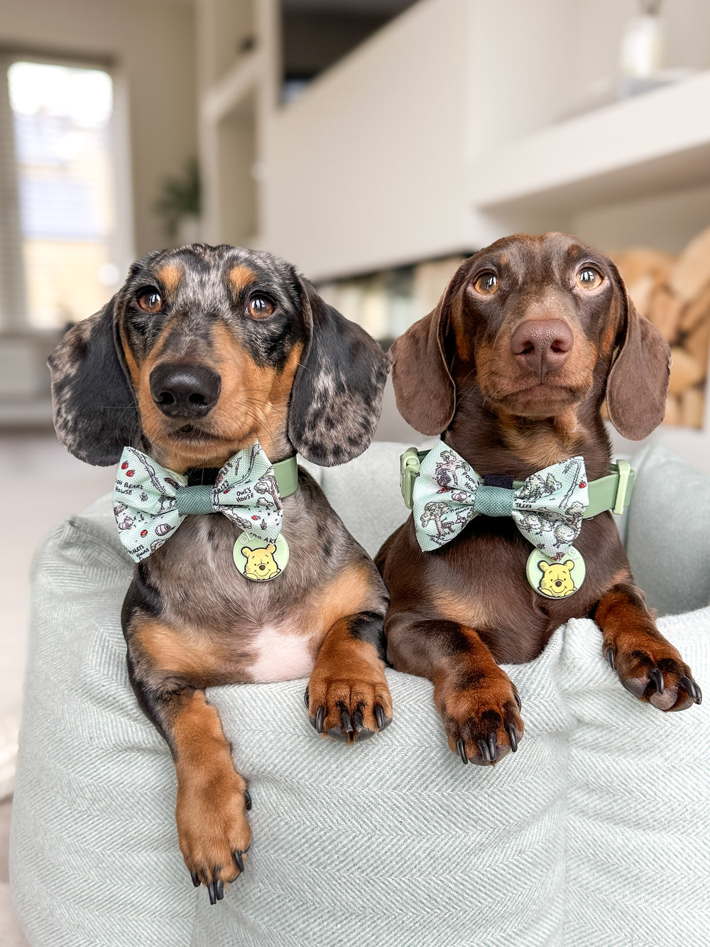 Disney© Bow Tie - 100 Aker Wood