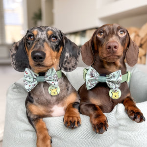 Disney© Bow Tie - 100 Aker Wood