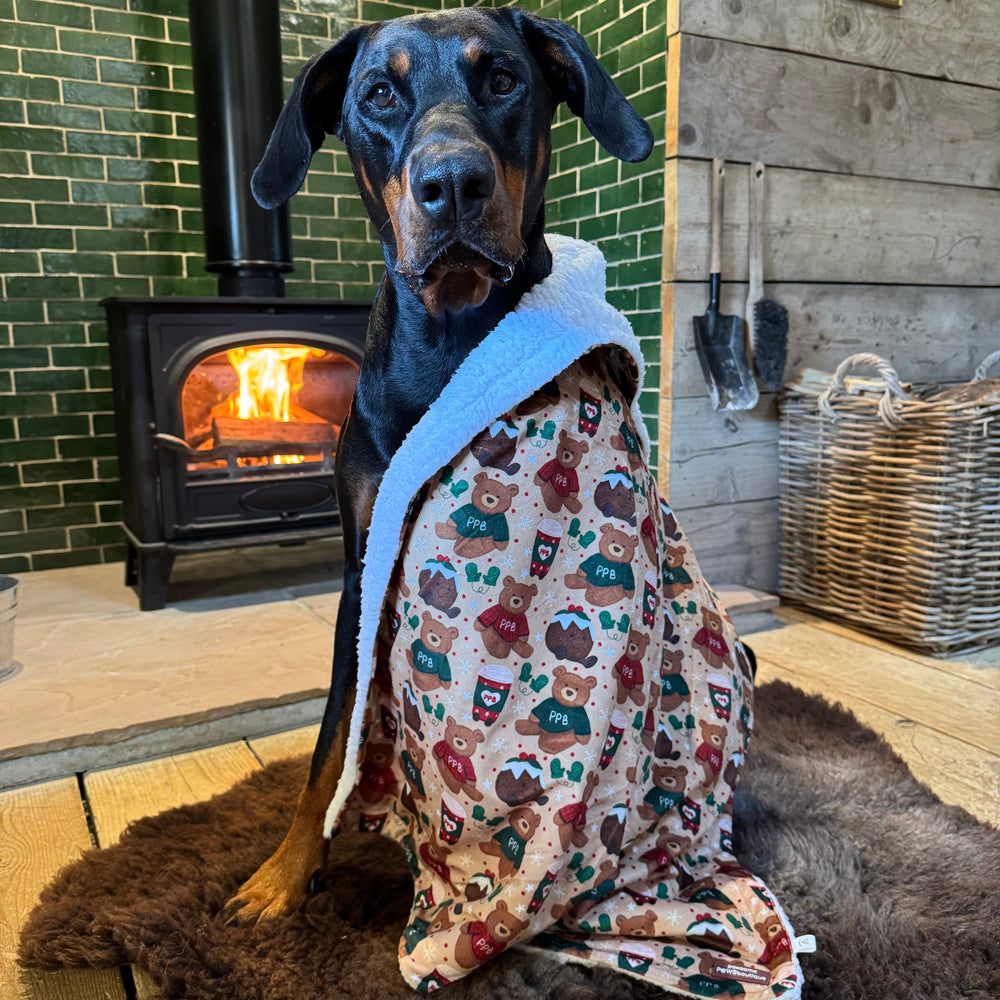 Dog Blanket - Snuggle Season