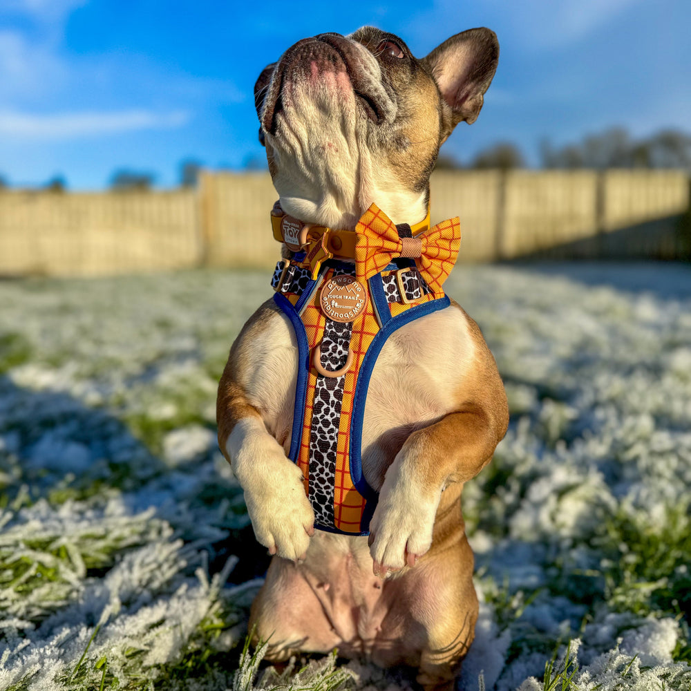 Disney© Bow Tie - Woody