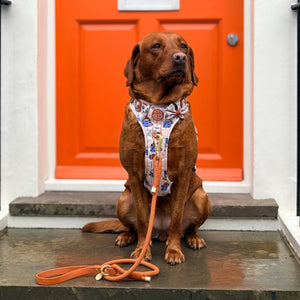 4ft Rope Lead - Rust