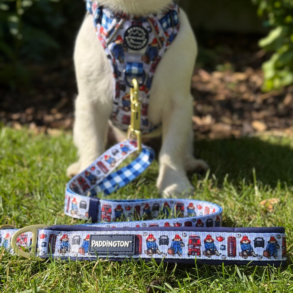 Paddington™ AdjustFit Lead - London