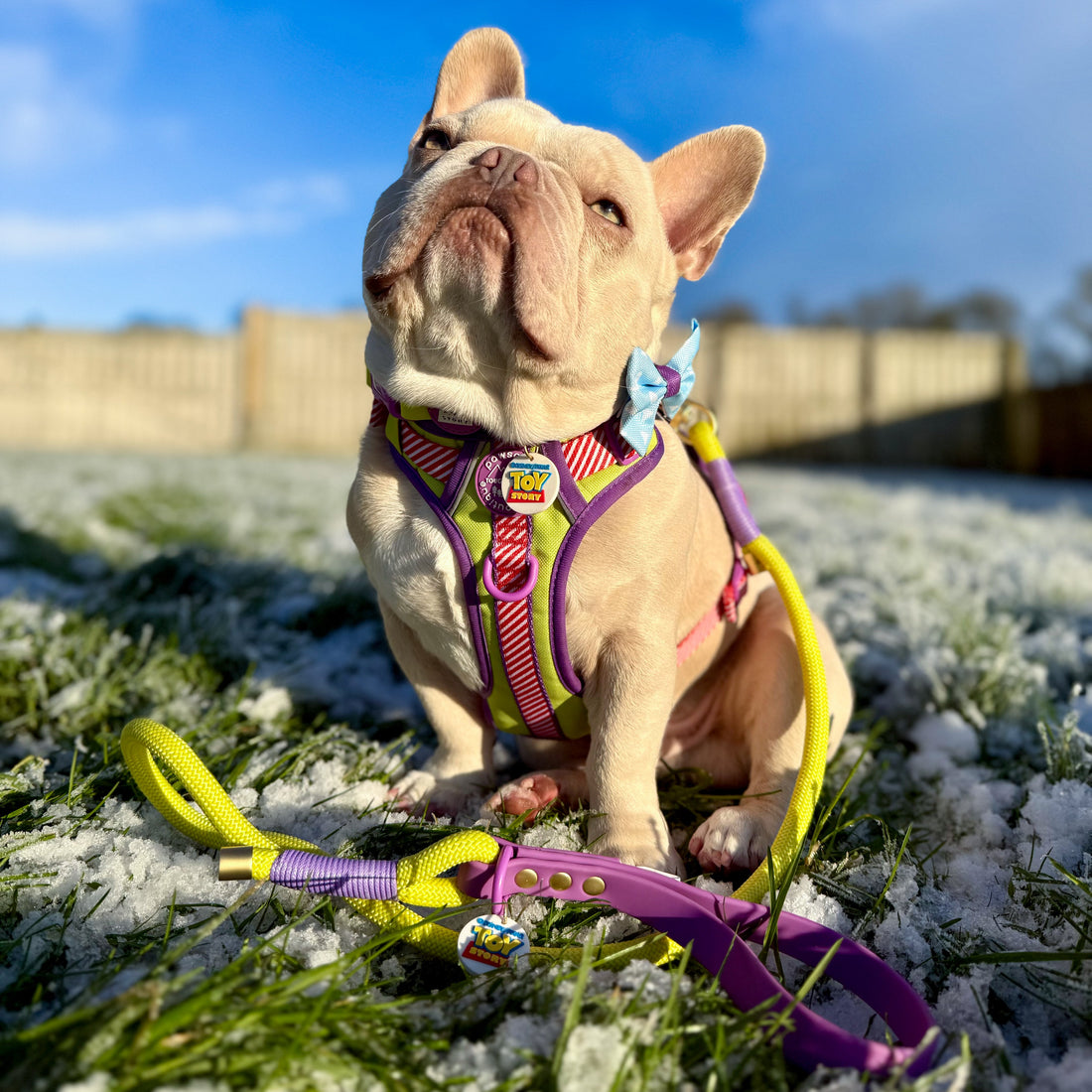 Disney© 4ft Rope Lead - Buzz Lightyear