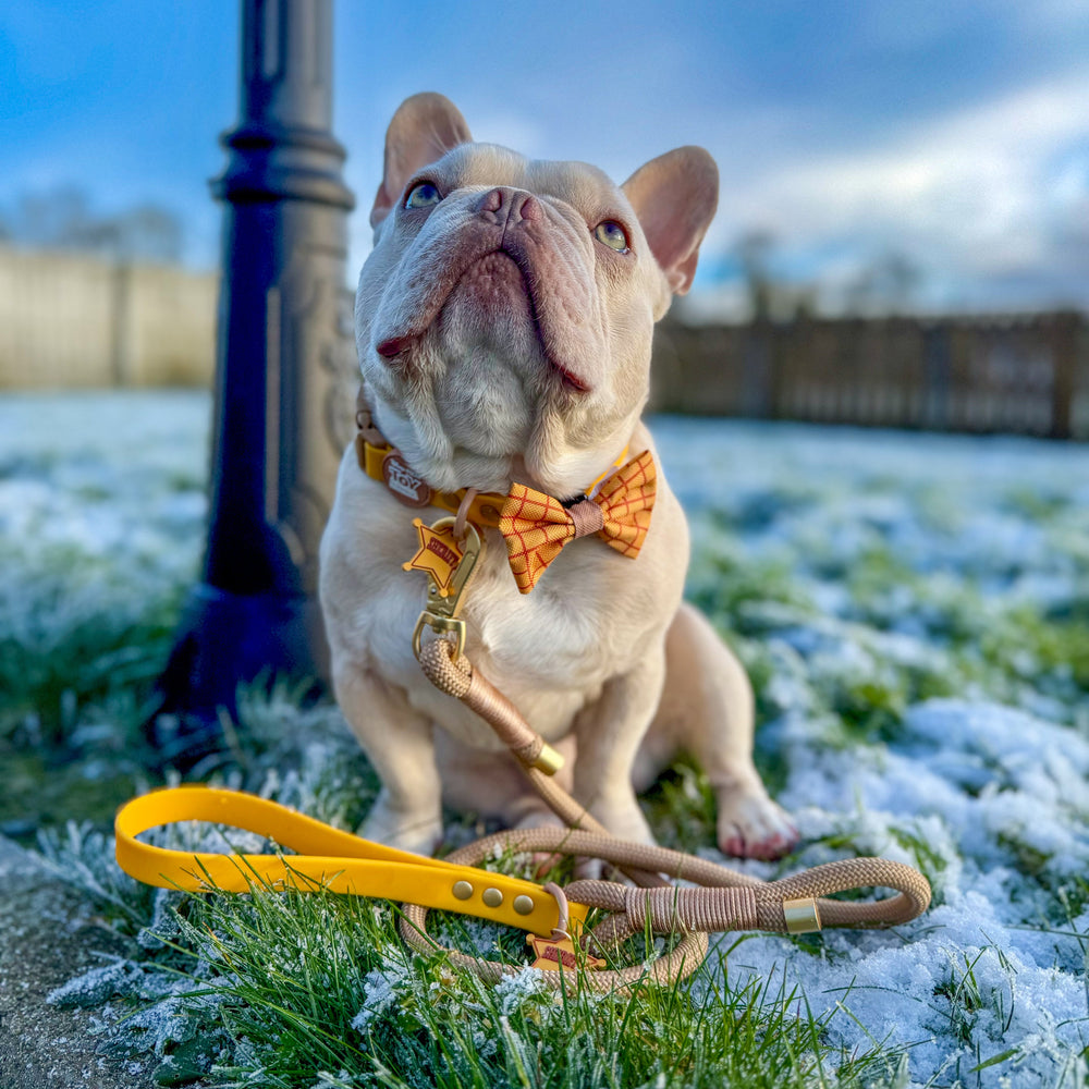 Disney© 4ft Rope Lead - Woody