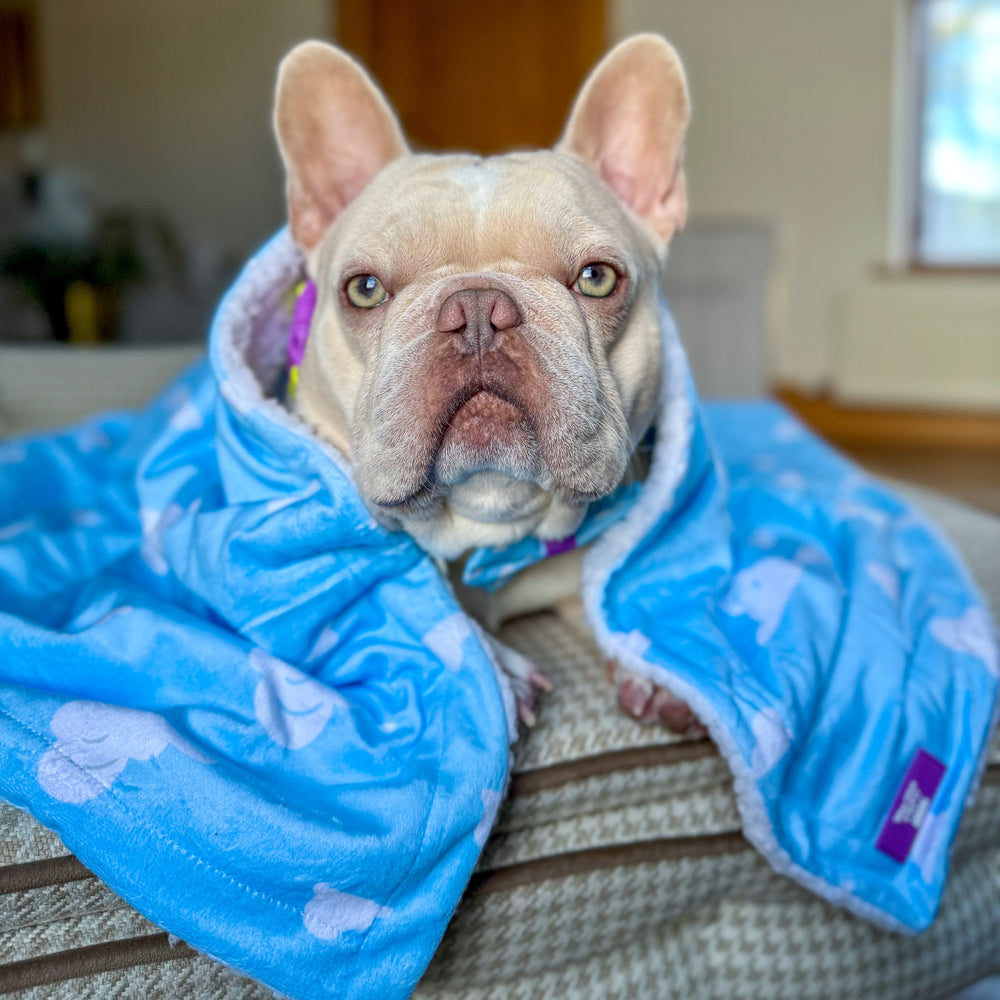 Disney© Dog Blanket - Buzz Lightyear