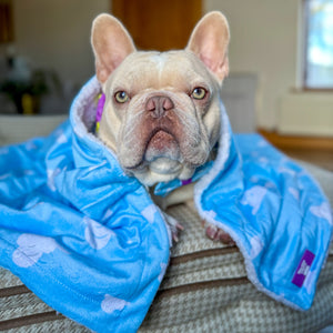 Disney© Dog Blanket - Buzz Lightyear