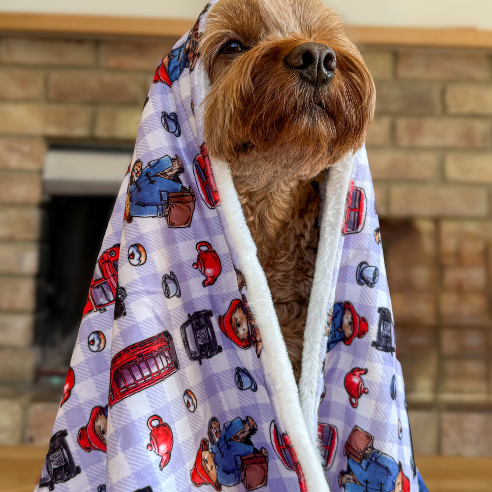 Paddington™ Dog Blanket - London
