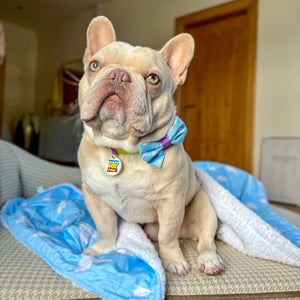 Disney© Collar/Lead Charm - Toy Story