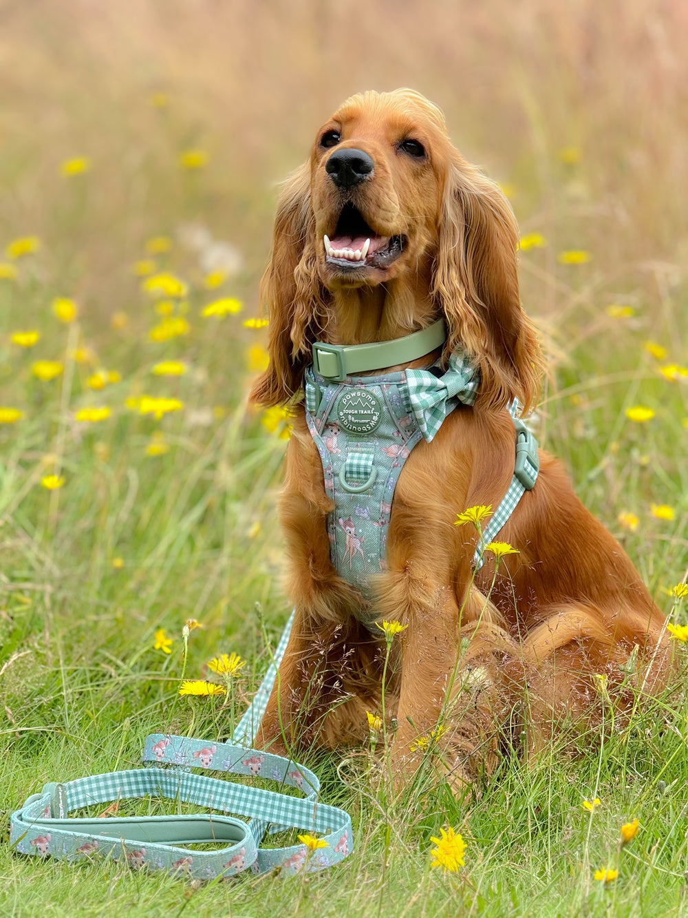 Waterproof Collar - Green