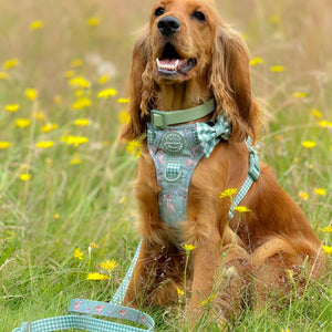 Waterproof Collar - Green