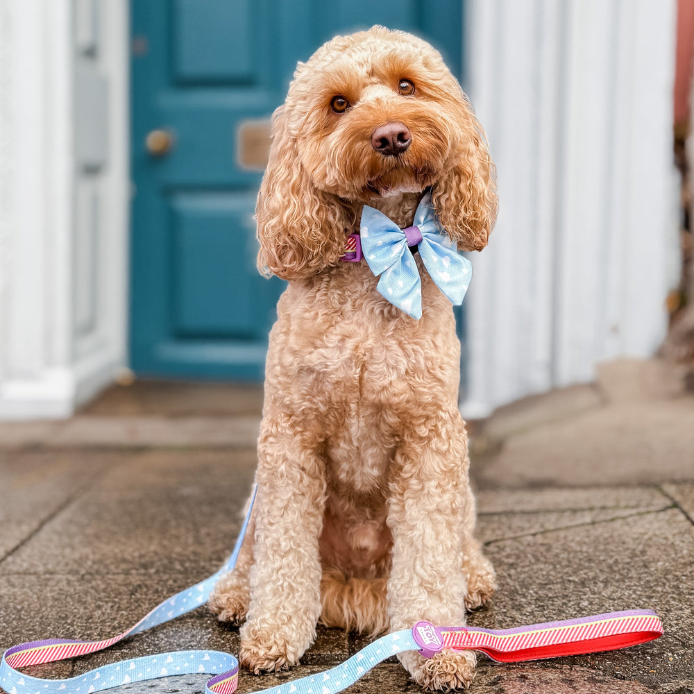 Disney© Sailor Bow - Buzz Lightyear