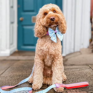 Disney© Sailor Bow - Buzz Lightyear