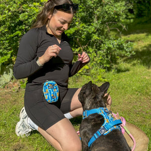 Disney© Treat + Go Bag - Simba