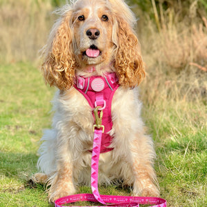 Lead - Walkies Ready® Raspberry Pink