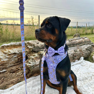 Disney© Bow Tie - Bambi + Friends Lilac Gingham