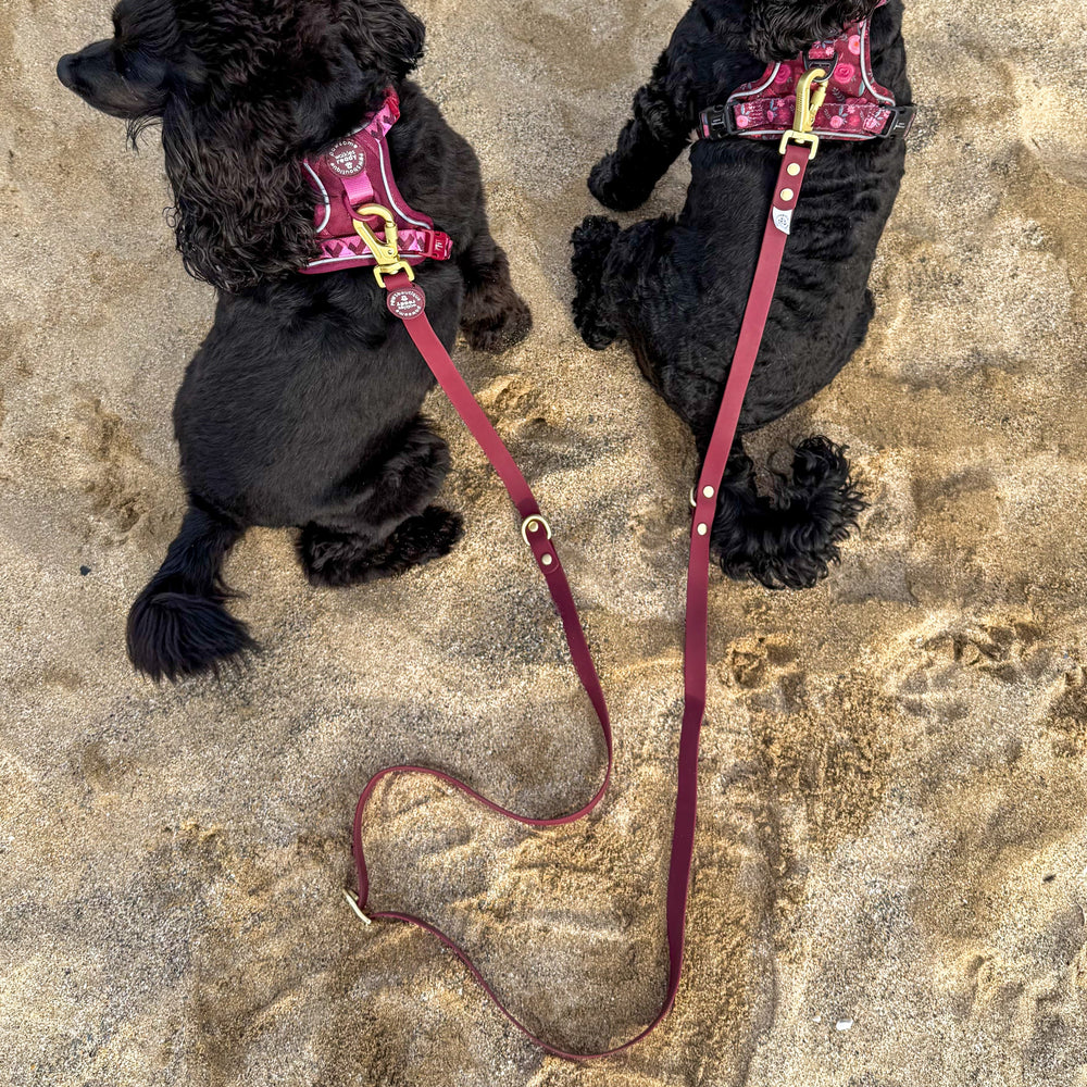 Double Ended Lead - Walkies Ready® Mulberry