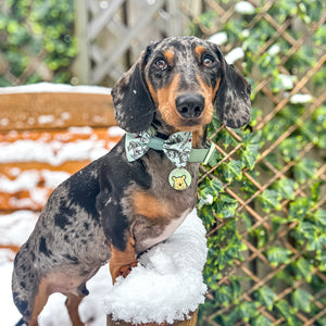 Disney© Bow Tie - 100 Aker Wood