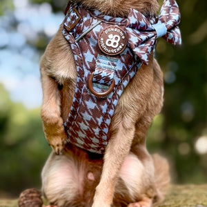 Bow Tie - Horizon Houndstooth