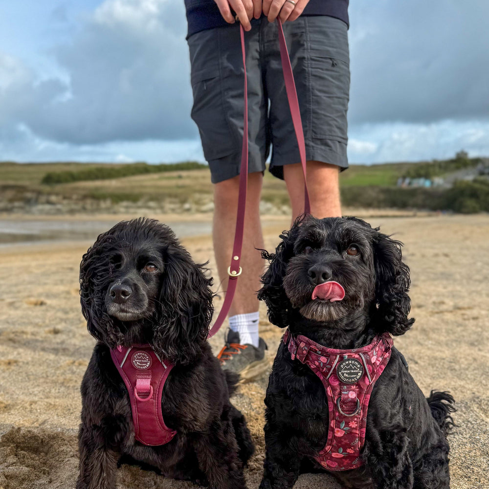 Double Ended Lead - Walkies Ready® Mulberry