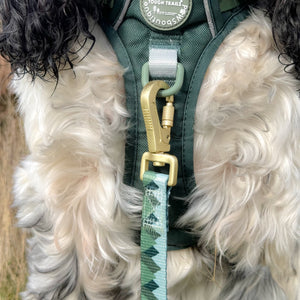 Lead - Walkies Ready® Forest Green