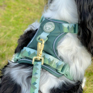 Lead - Walkies Ready® Forest Green