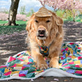 Dog Blanket - Patchwork