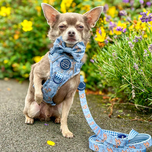 Disney© Bow Tie - Bambi + Friends Blue